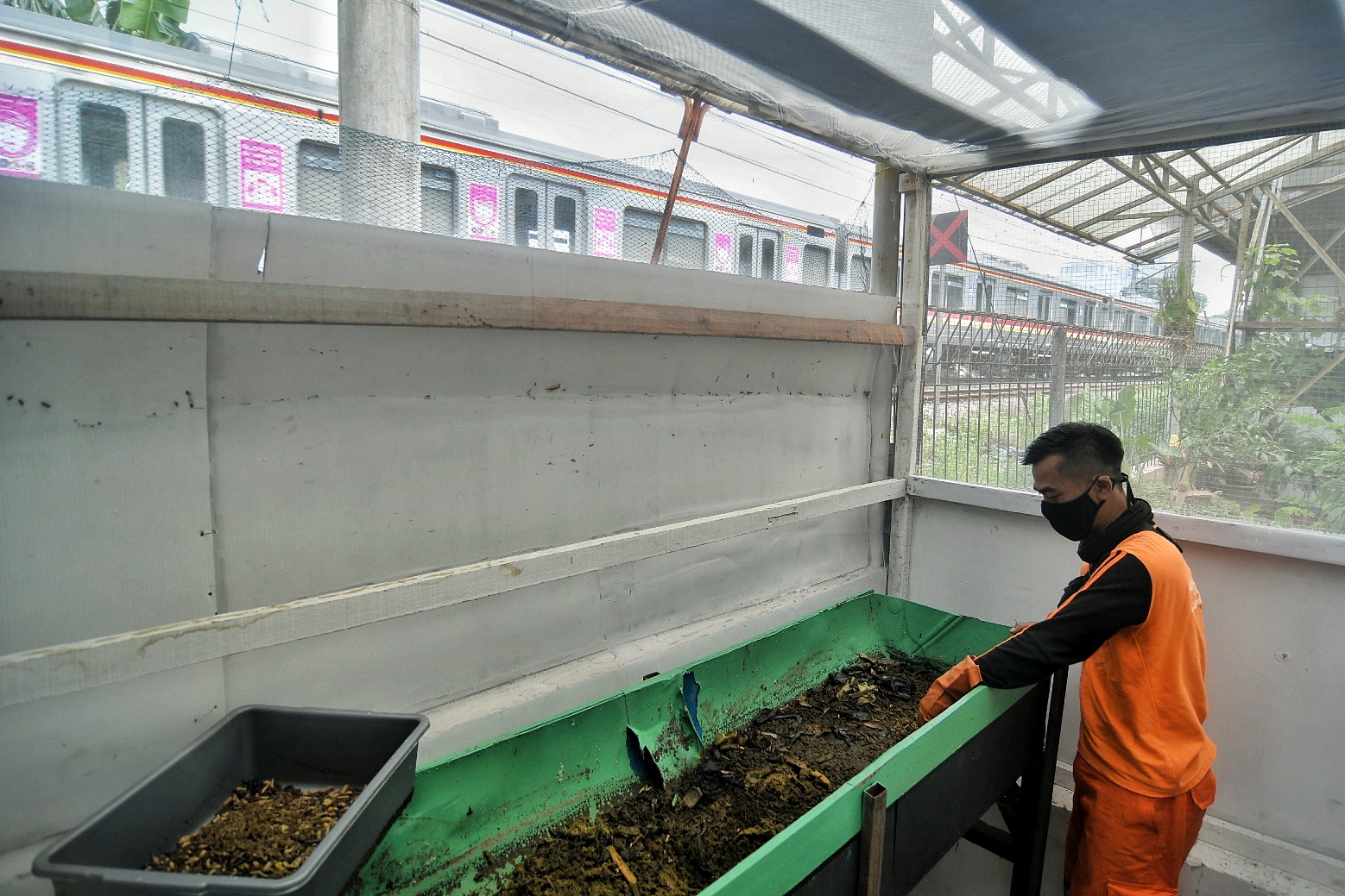 Pupuk Kompos dari Sampah Organik