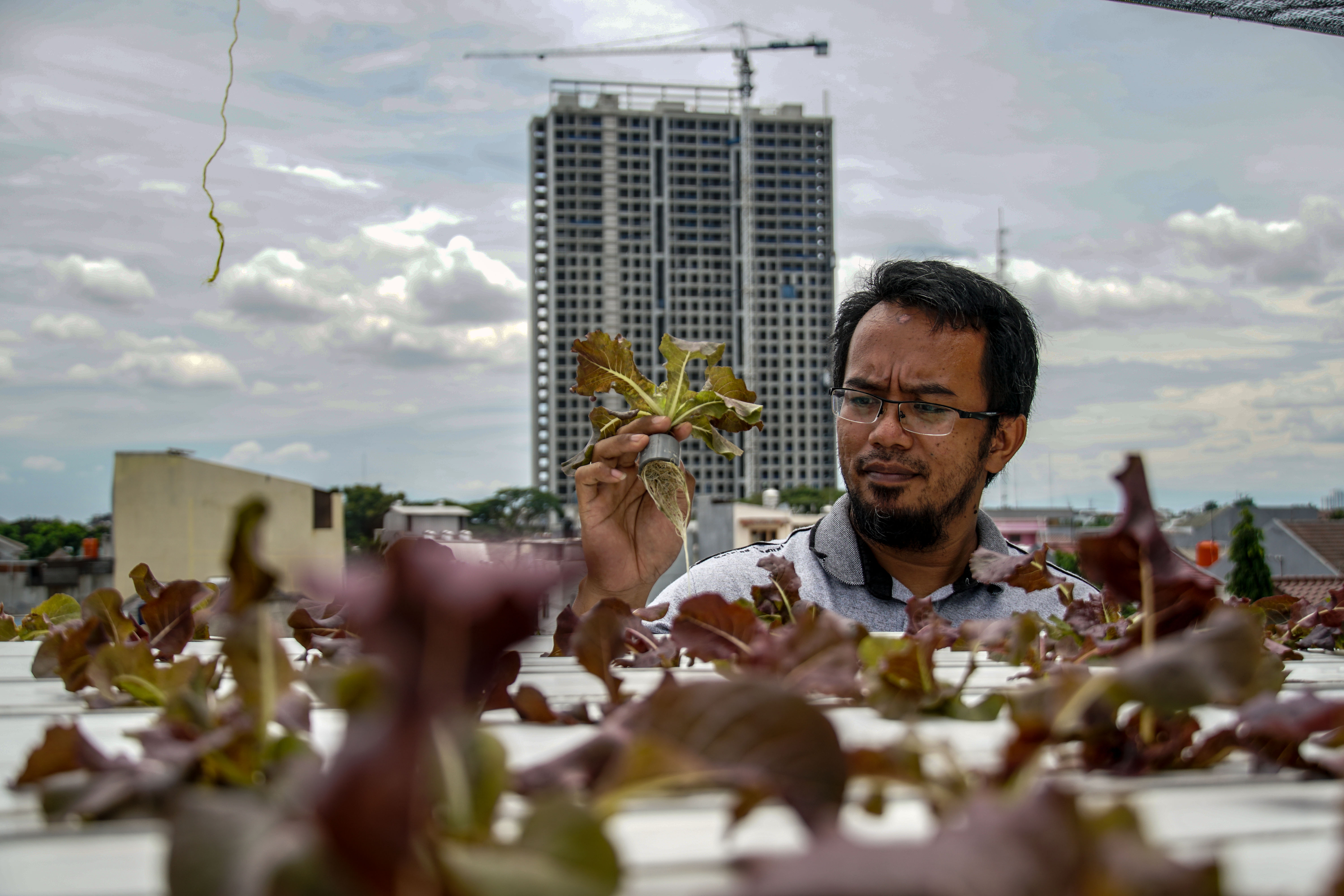 Hidroponik di Rooftop Masjid