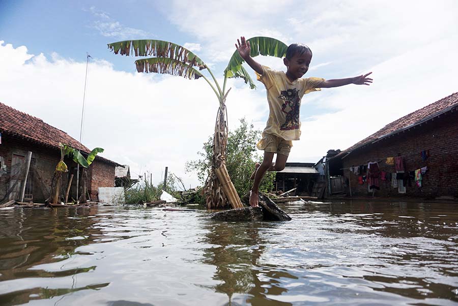 Banjir Rob Pekalongan Merendam 570 Rumah Belum Surut 