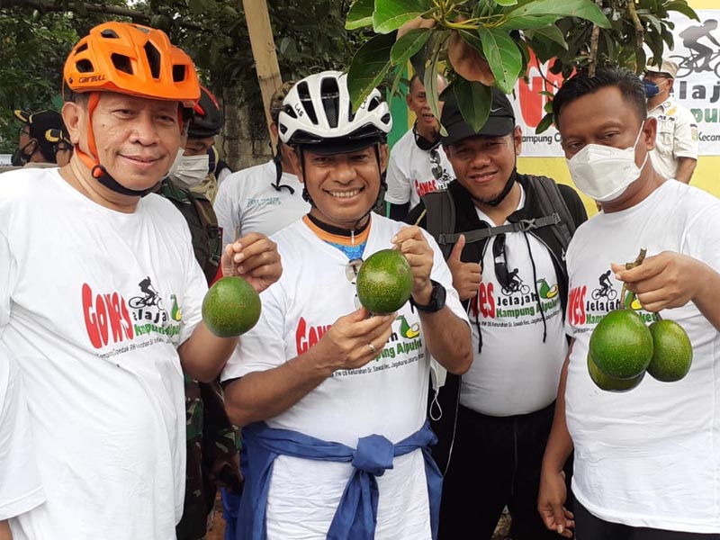 Diplomasi Alpukat Saleh Husin Dan Wali Kota Munjirin