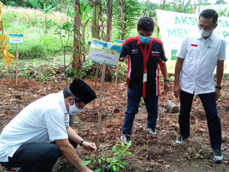 YMSM Dukung Gerakan Menanam Pohon Buah