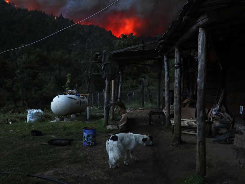 Sumber Api Masih Membakar Hutan Argentina