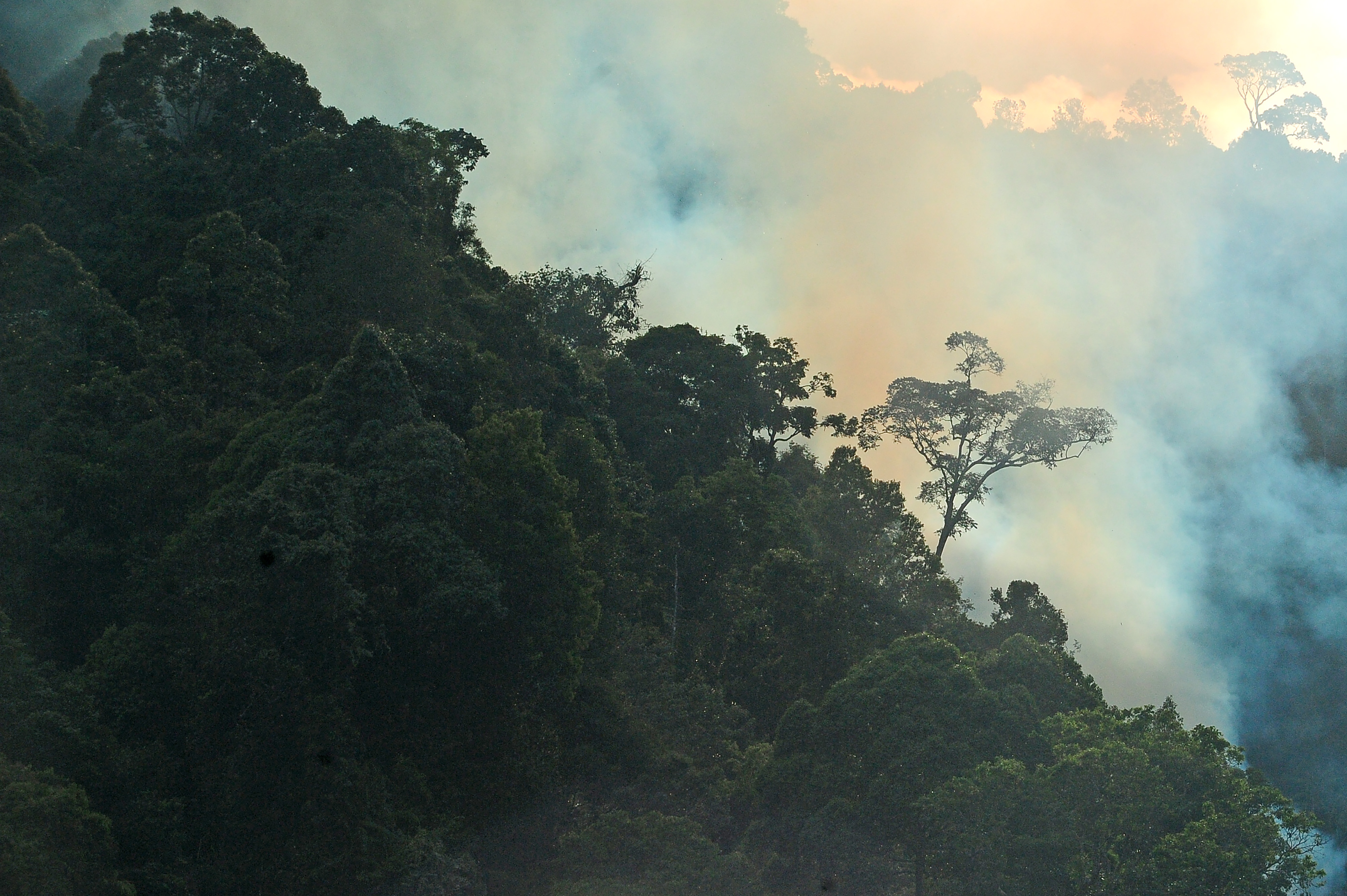 Membuka Lahan Dengan Cara Membakar