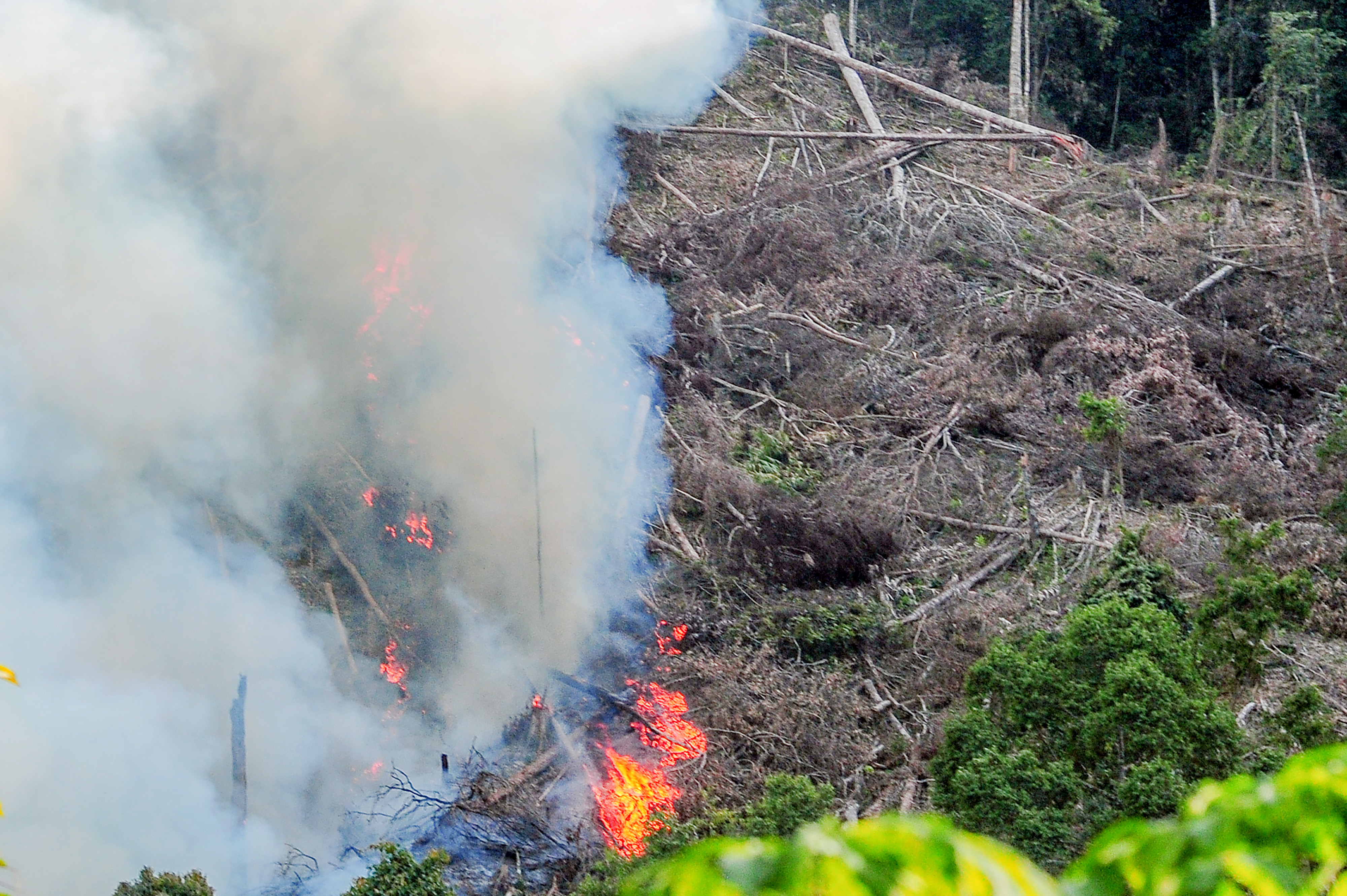 Membuka Lahan Dengan Cara Membakar