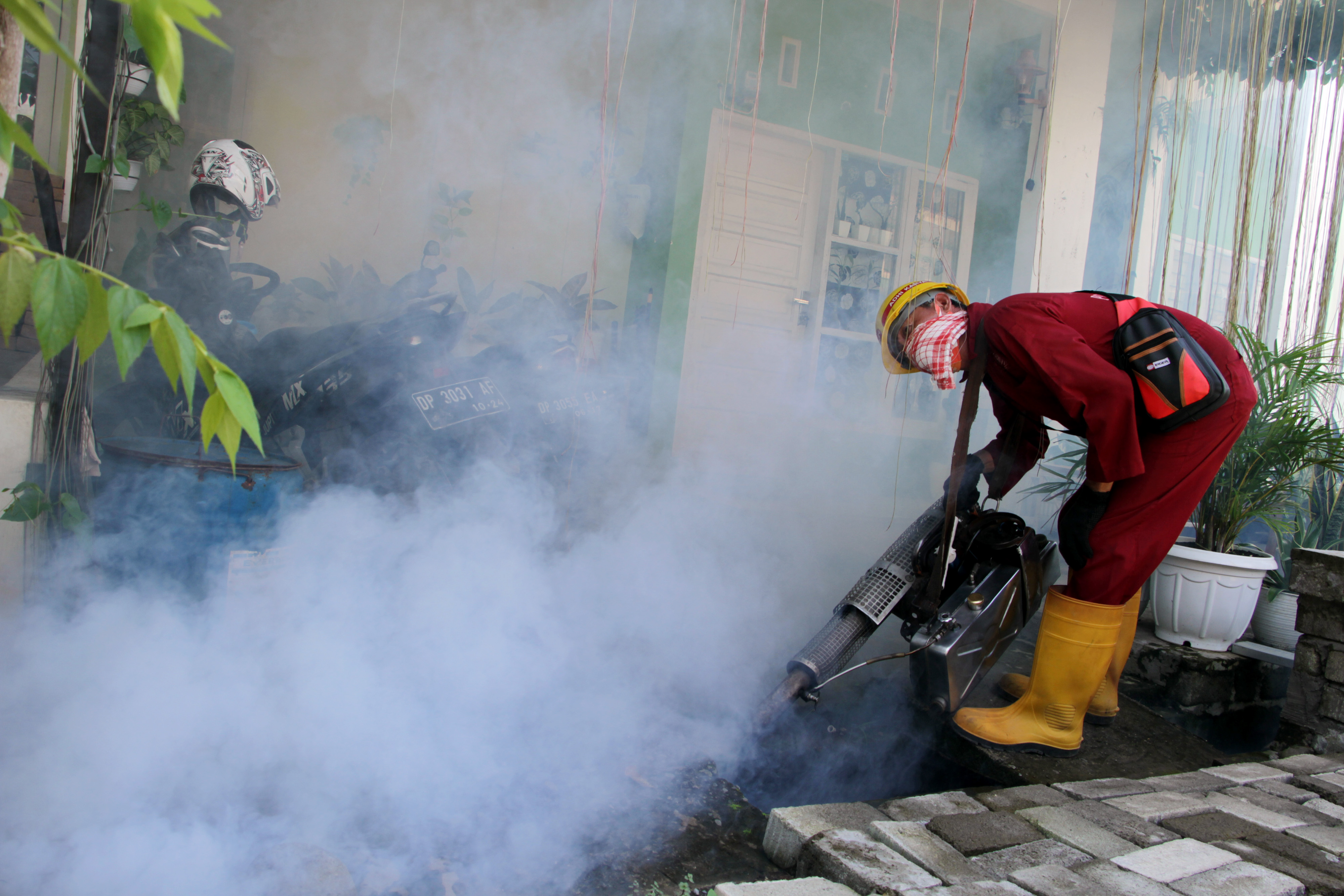 Antisipasi DBD Saat Musim Hujan