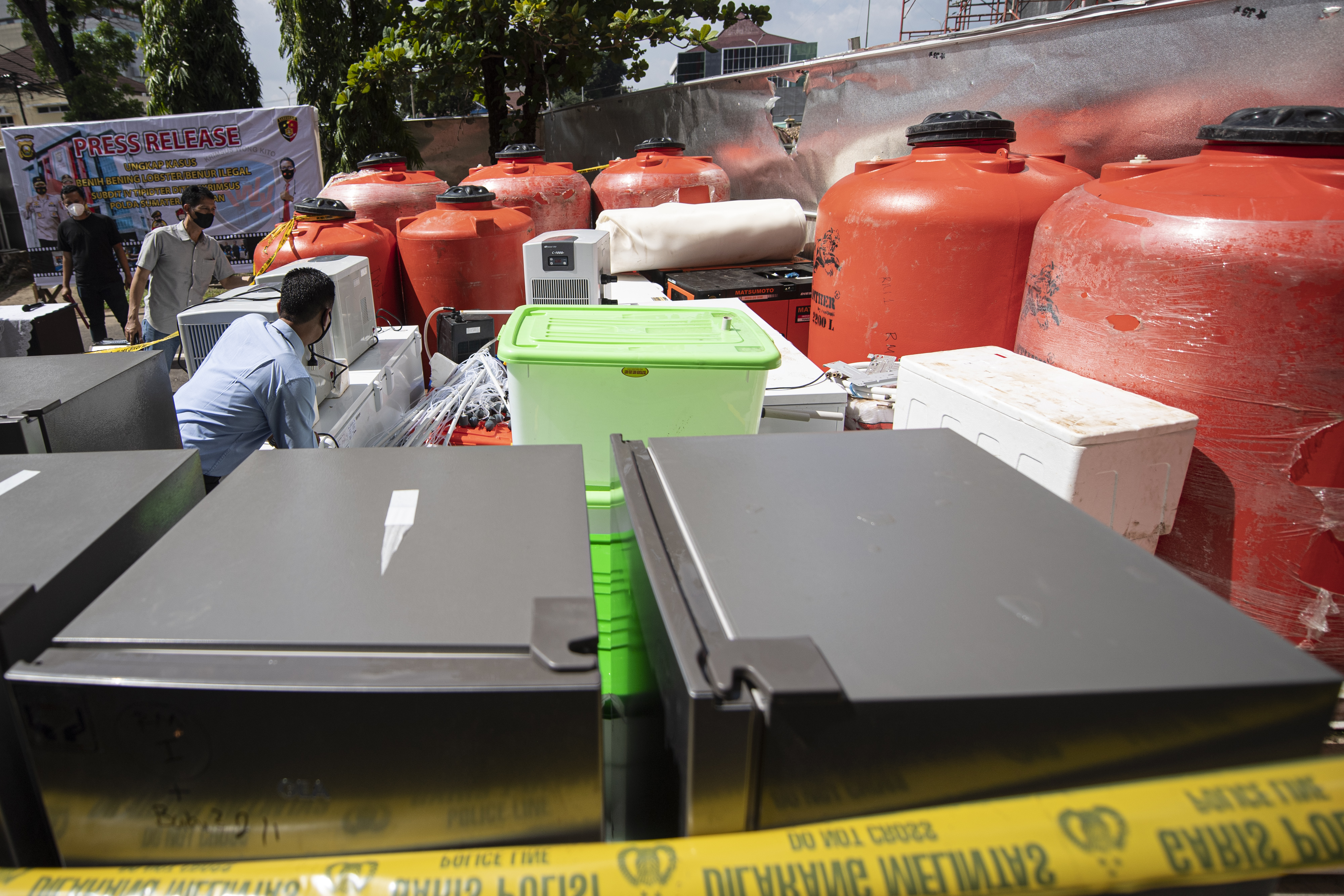 Penampungan Benih Lobster