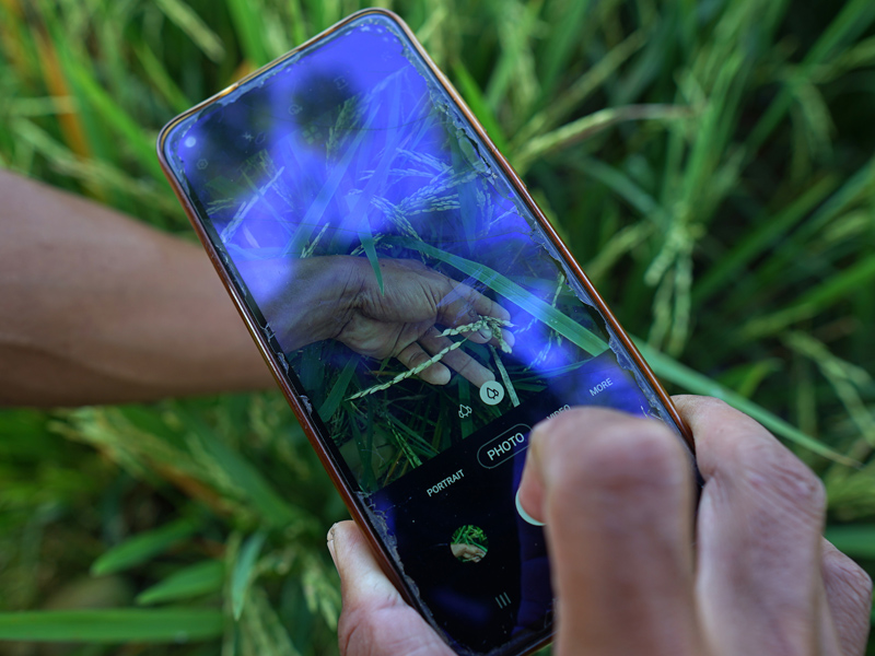 Sosialisasi Aplikasi Smart Balintan Mobile