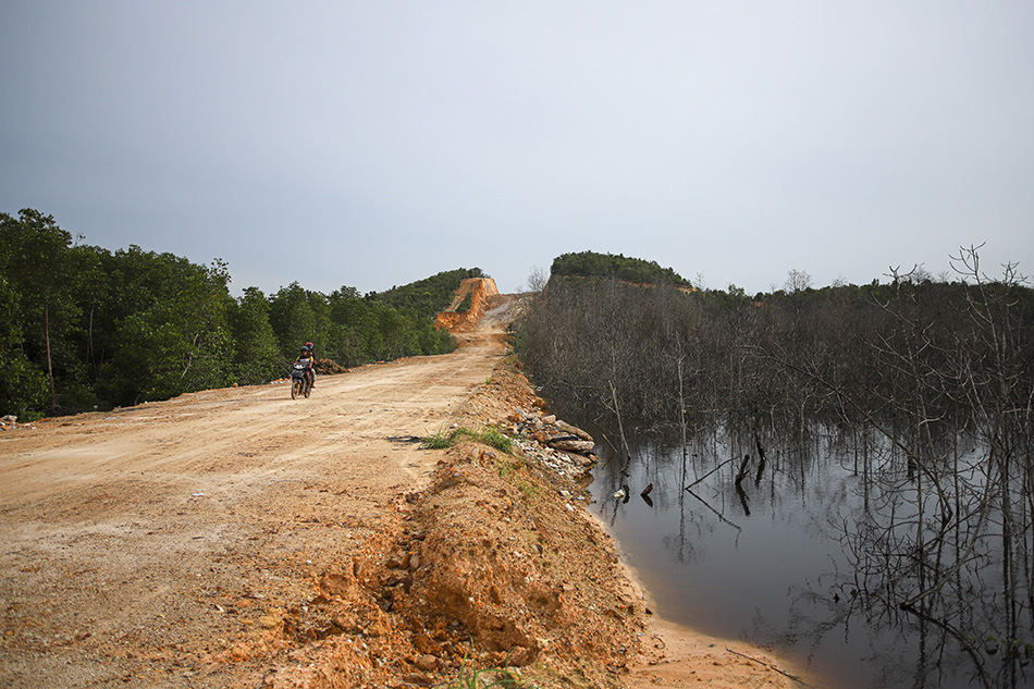Penimbunan Hutan Mangrove di Batam
