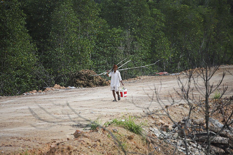 Penimbunan Hutan Mangrove di Batam