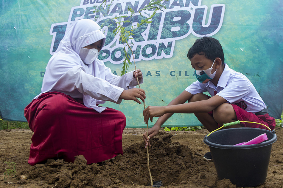 Penanaman 100 Ribu Pohon di Subang