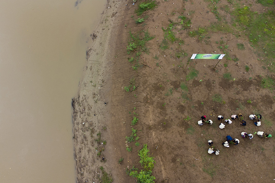 Penanaman 100 Ribu Pohon di Subang