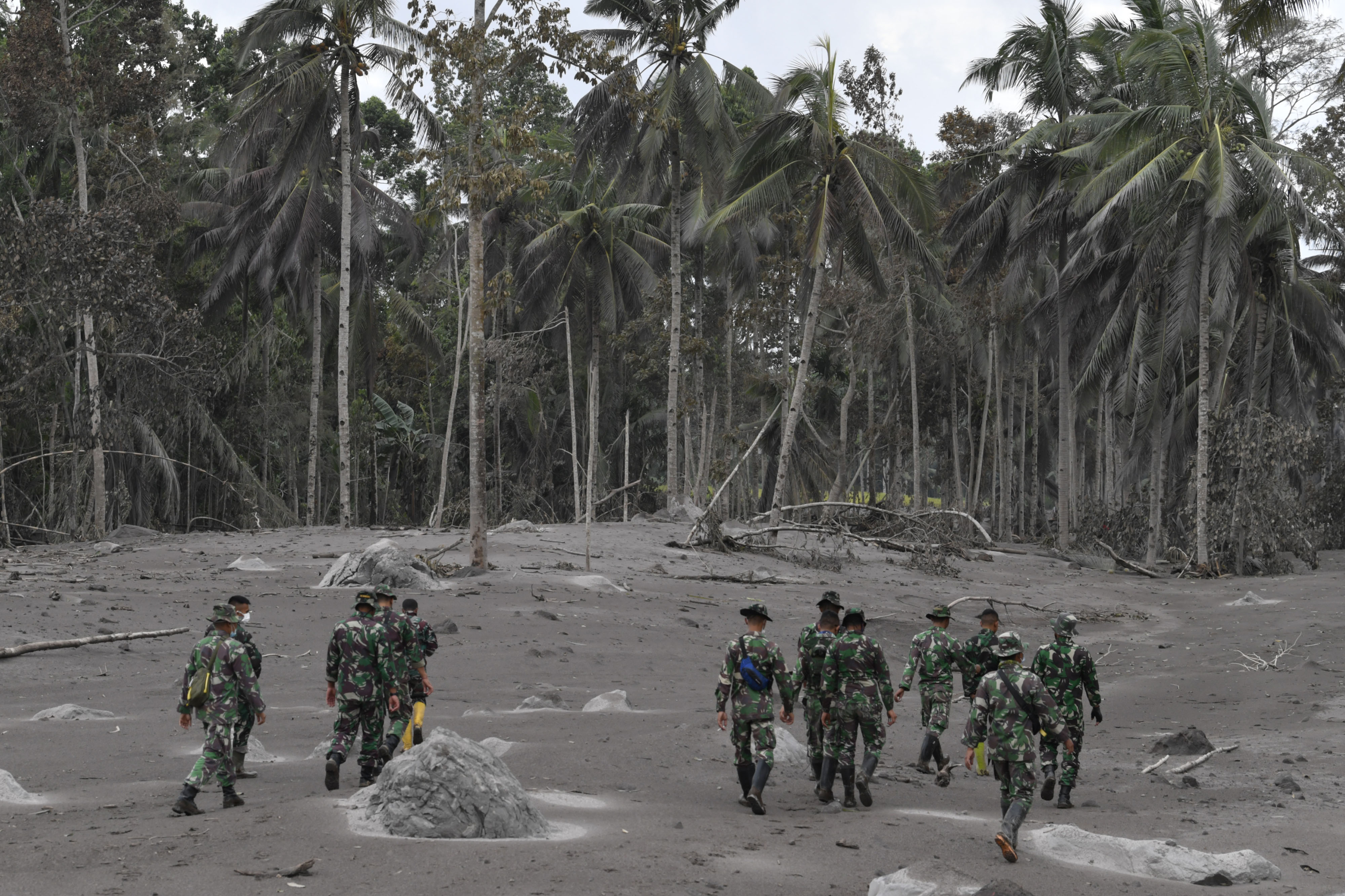 Pencarian Korban Guguran Awan Panas Gunung Semeru
