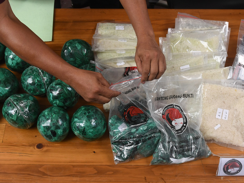 Pengungkapan Jaringan Narkoba Internasional