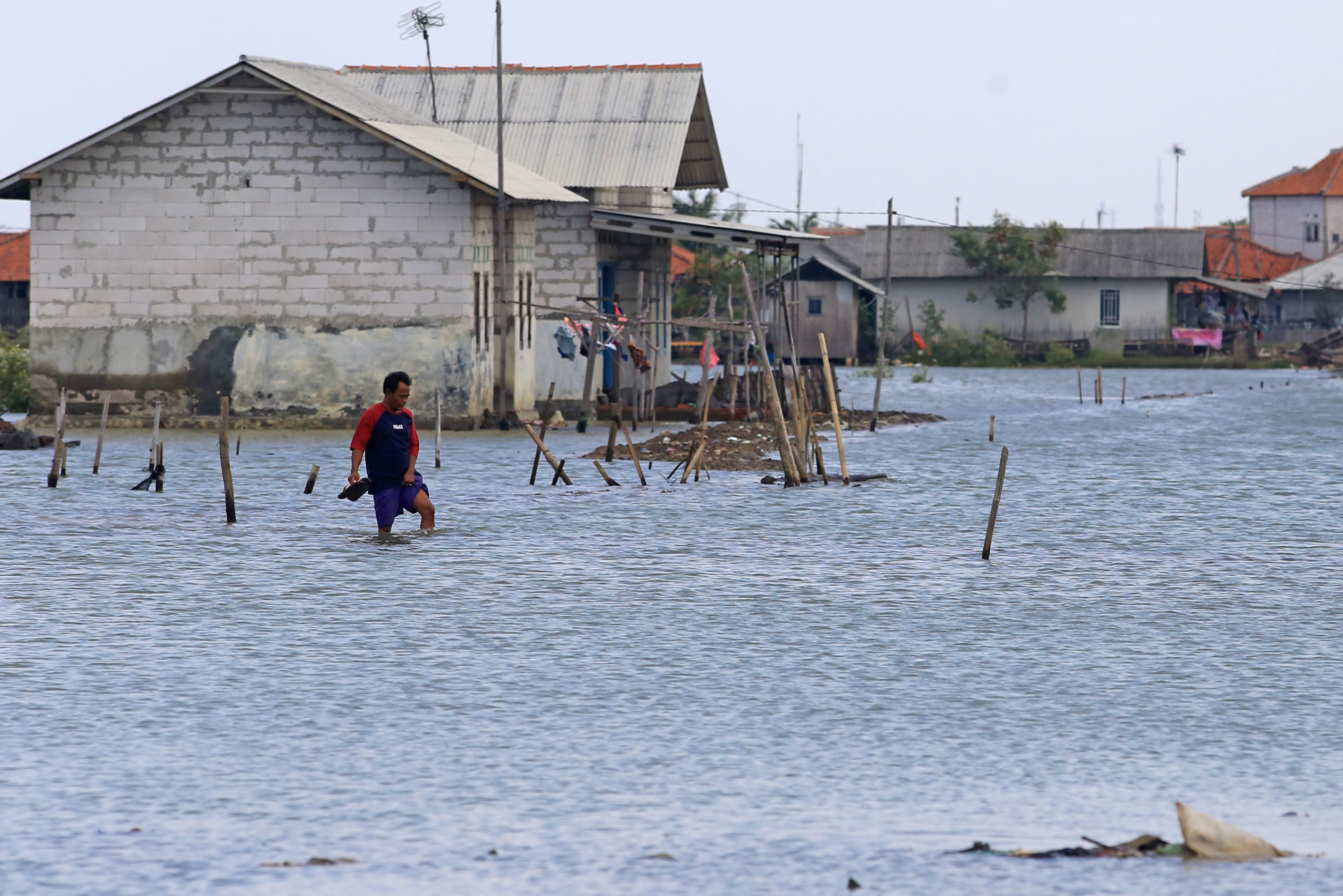 Banjir Rob di Indramayu