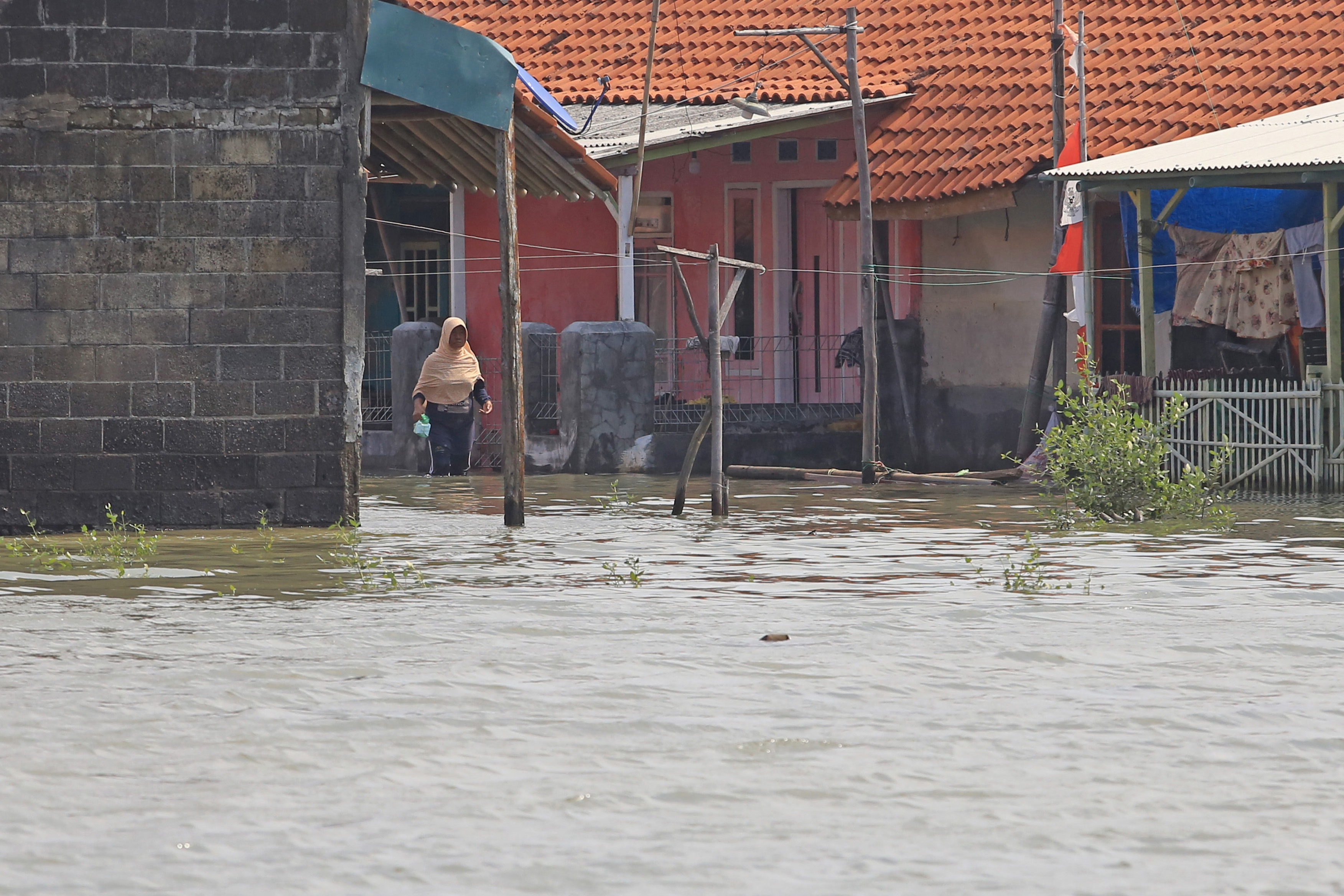 Banjir Rob di Indramayu