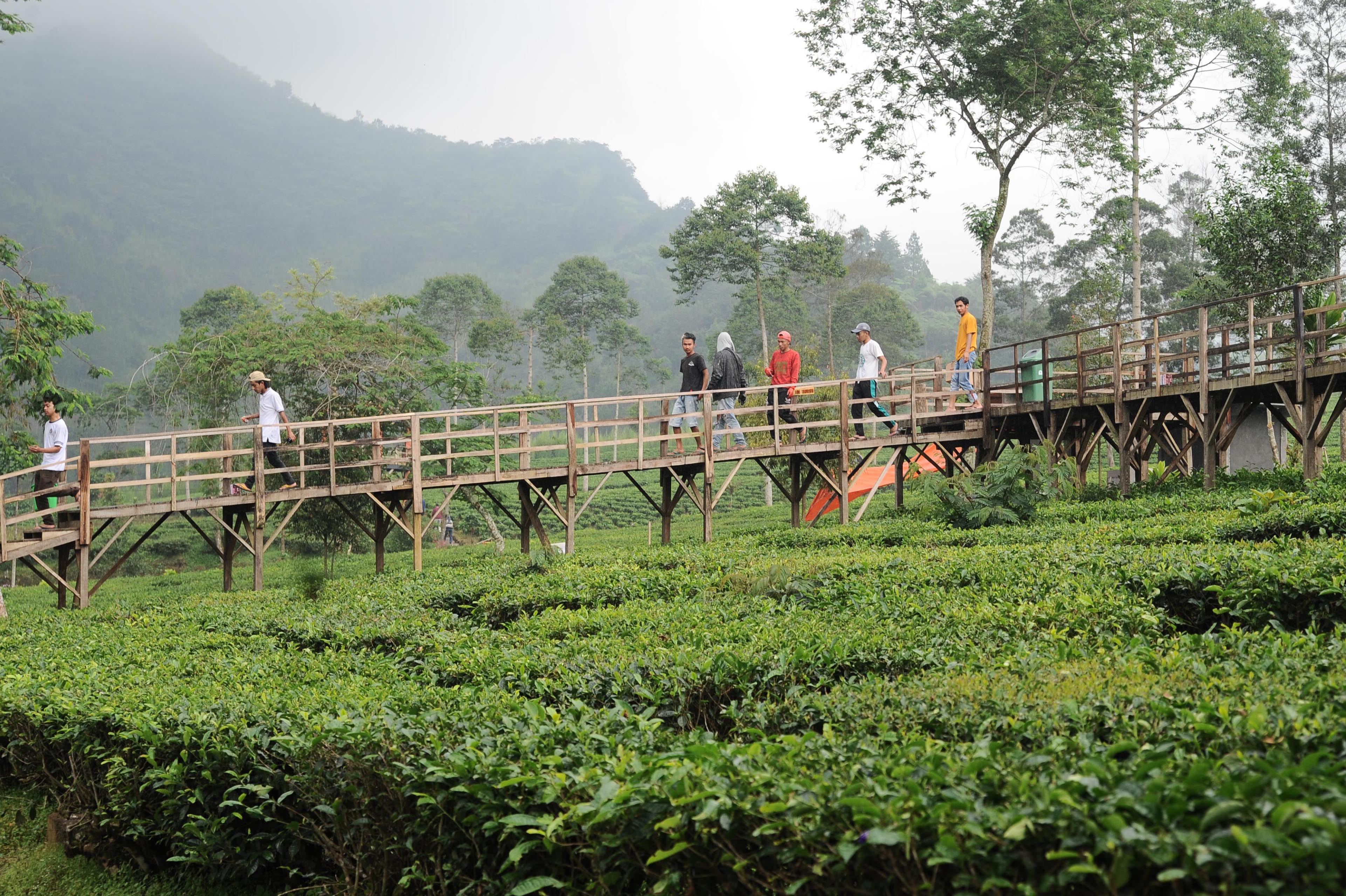 Wisata Alam Patean Tambi