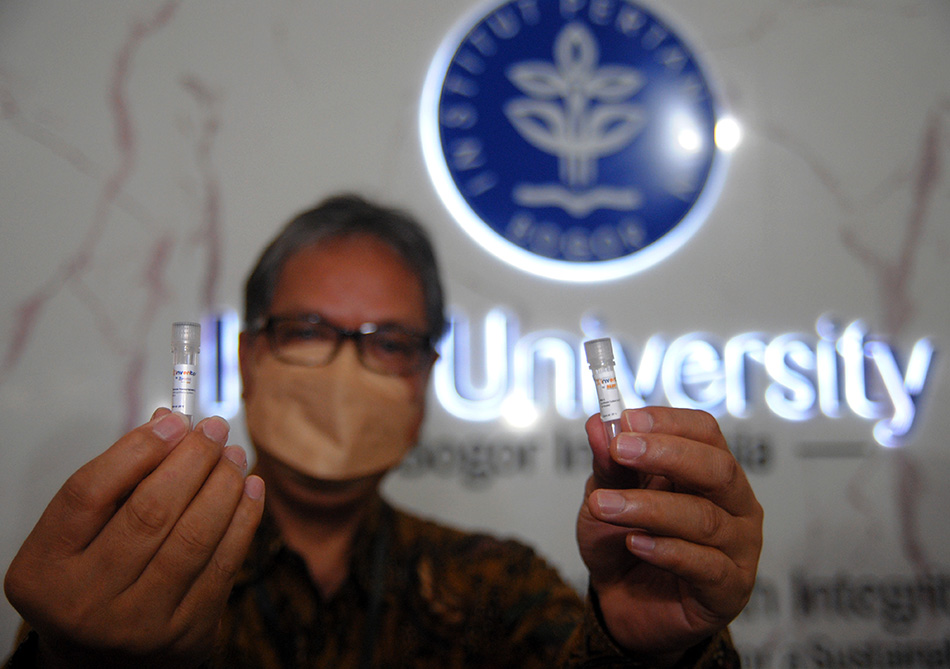 Inovasi Enzim Deteksi Covid-19