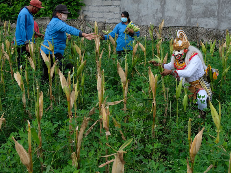 Program Polisi Berkebun Polres Badung