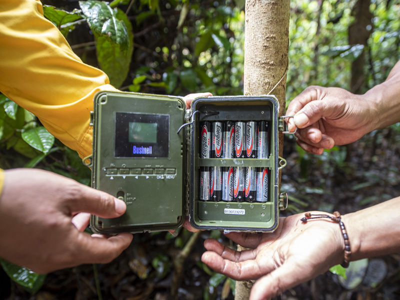 Pemasangan Kamera Trap Di Kawasan Konservasi Musi Banyuasin