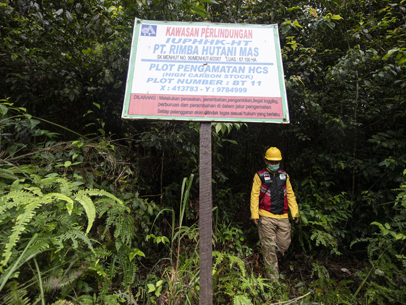 Pemasangan Kamera Trap Di Kawasan Konservasi Musi Banyuasin