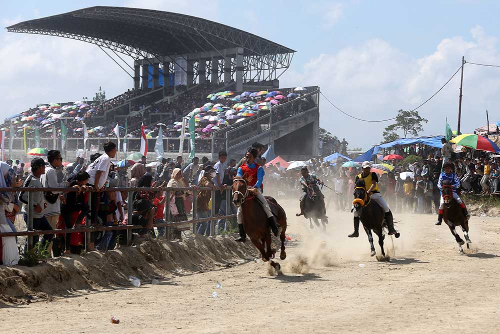 Pacuan Kuda Tradisional Gayo