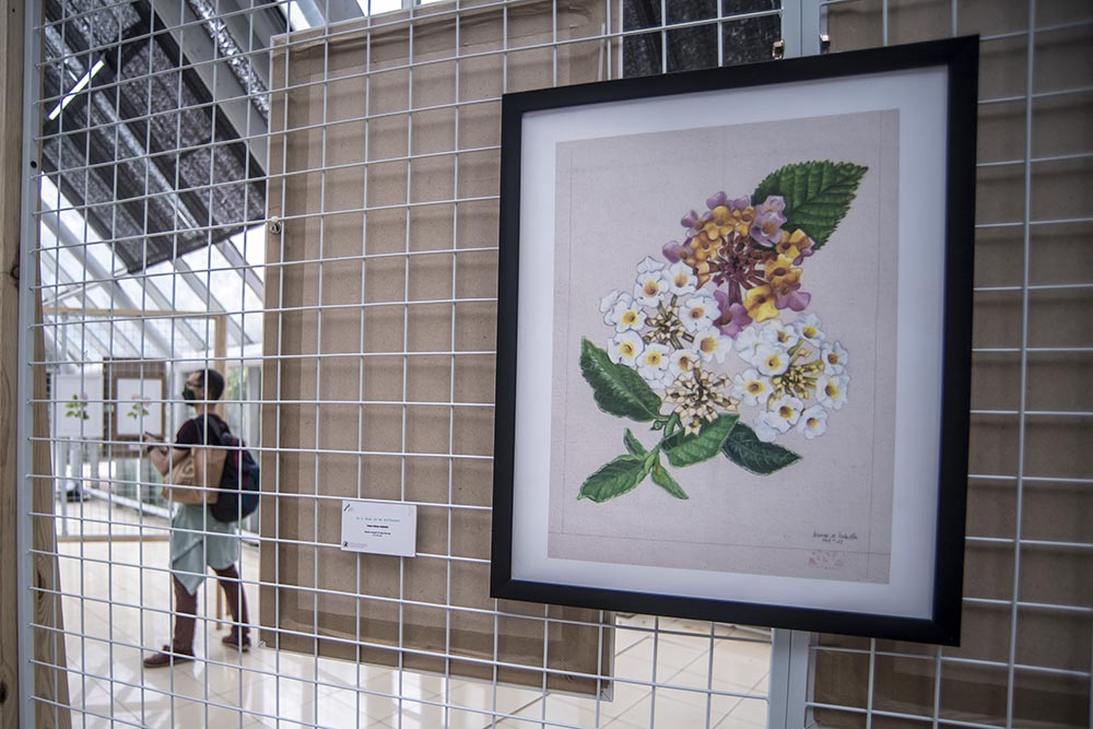 Pameran Lukisan Tanaman