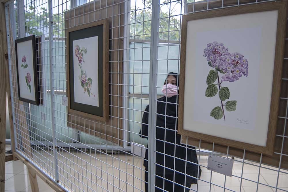 Pameran Lukisan Tanaman