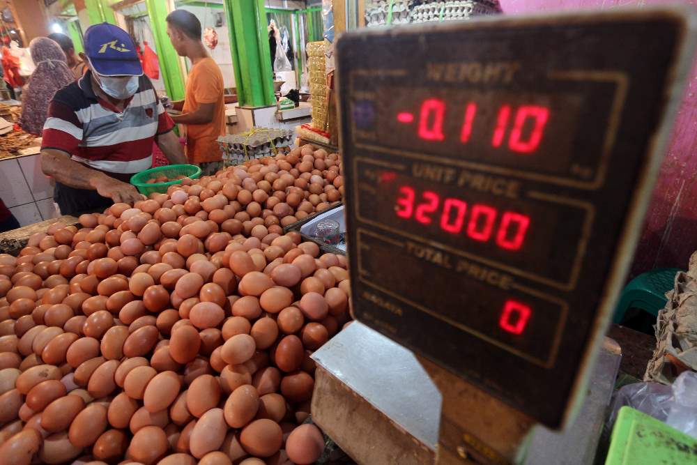 Harga Telur Ayam Ras Naik