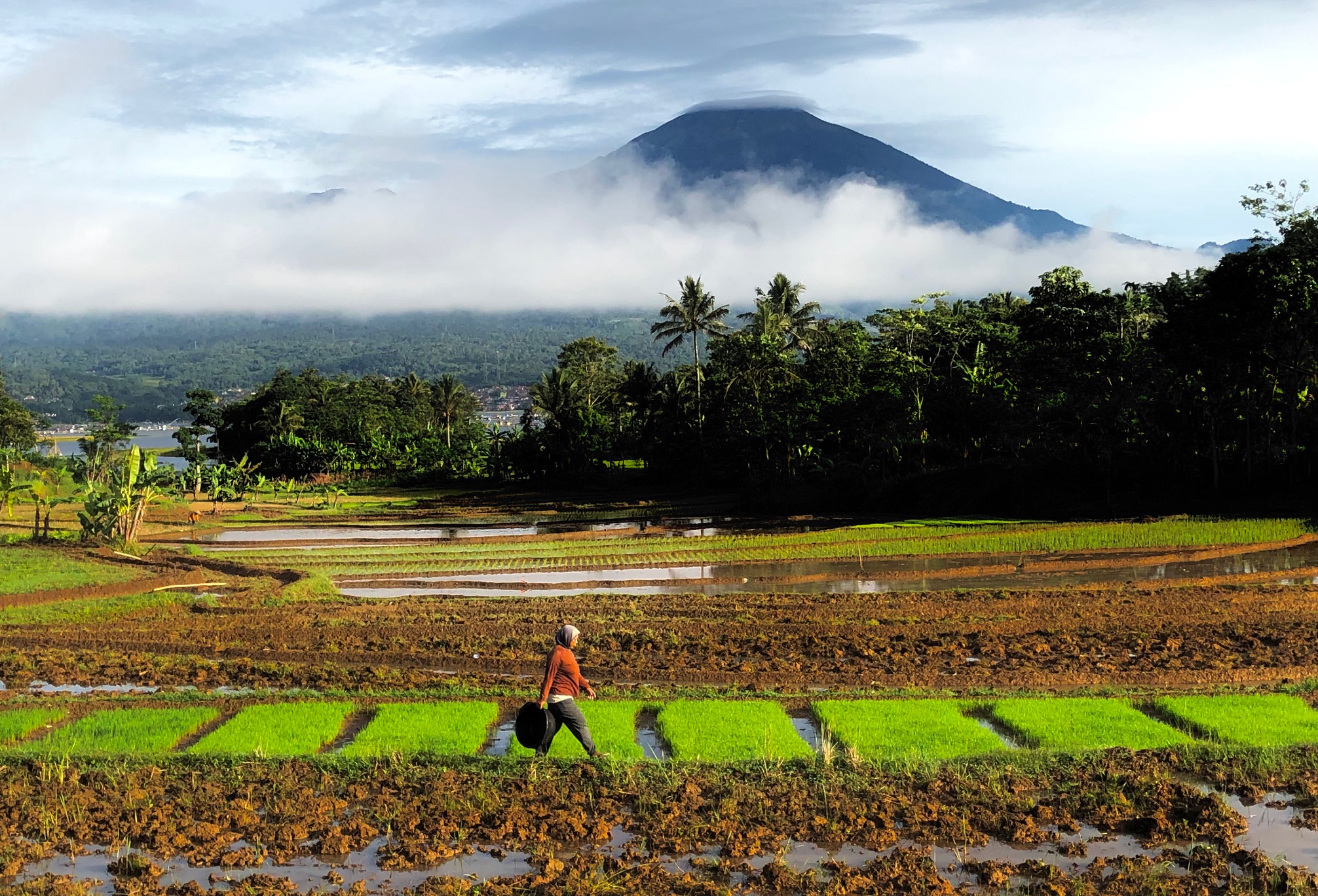 Keindahan Desa Wisata Unggulan di Kabupaten Kuningan