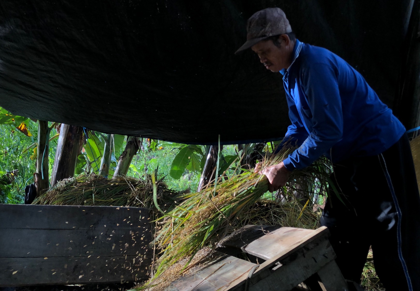 Keindahan Desa Wisata Unggulan di Kabupaten Kuningan