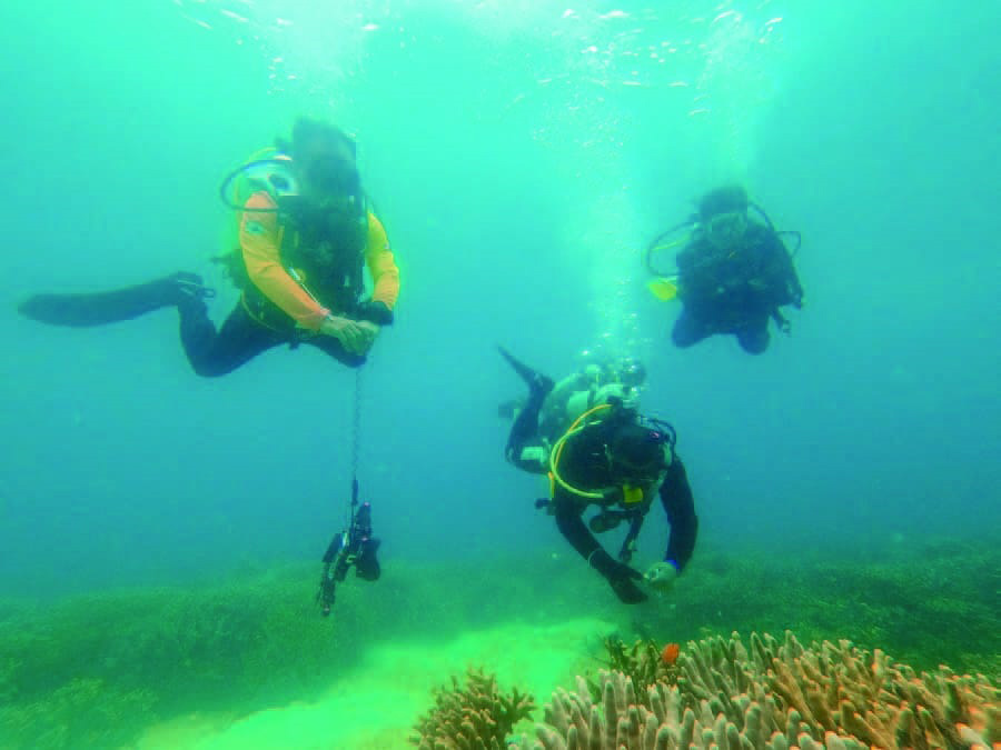 Tempat-Tempat Eksotis di Bumi Sulawesi Tenggara