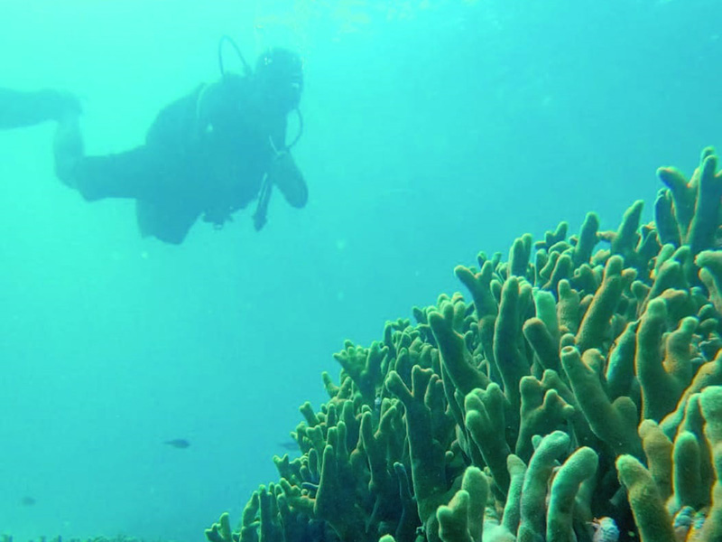 Tempat-Tempat Eksotis di Bumi Sulawesi Tenggara
