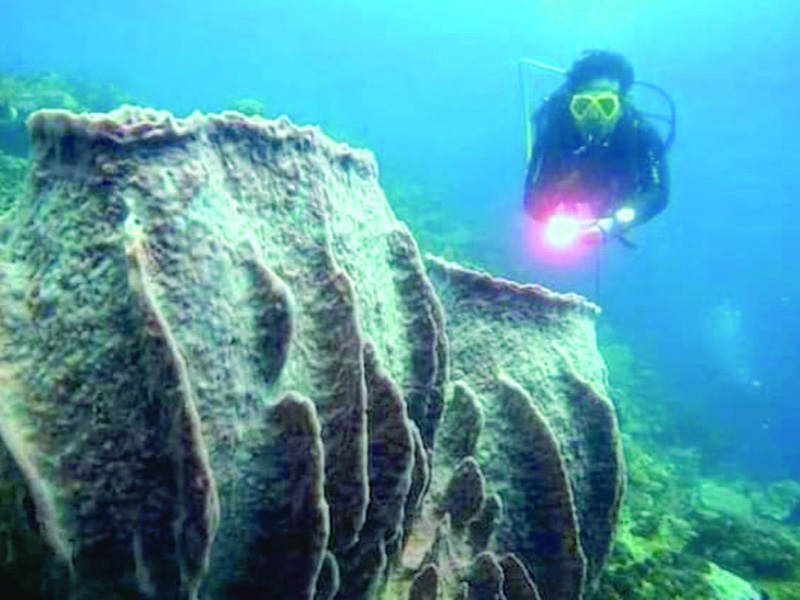 Tempat-Tempat Eksotis di Bumi Sulawesi Tenggara