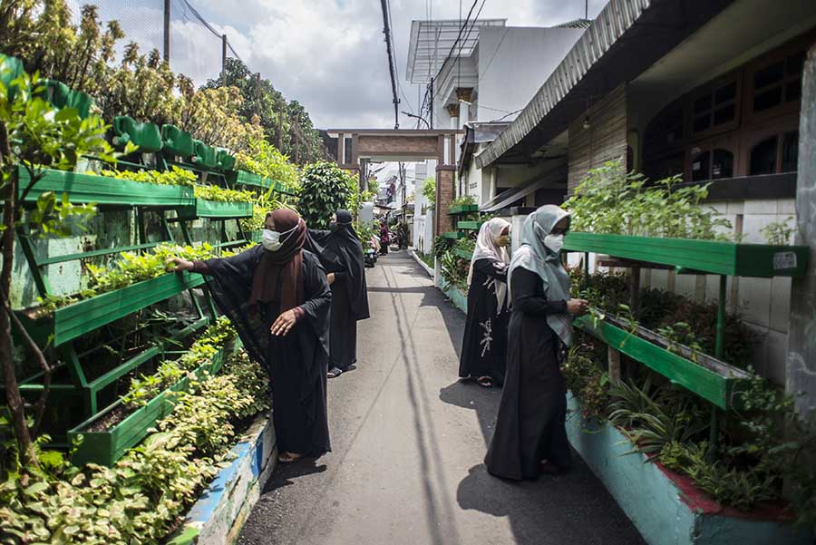 Memanfaatkan Ruang Sempit untuk Berkebun Vertikal di Jakarta 