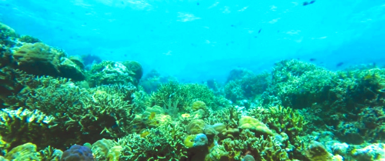 Pesona Alam dan Budaya Sulawesi Tenggara