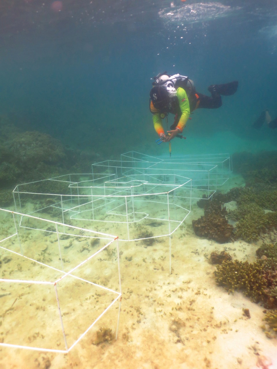 Pesona Alam dan Budaya Sulawesi Tenggara