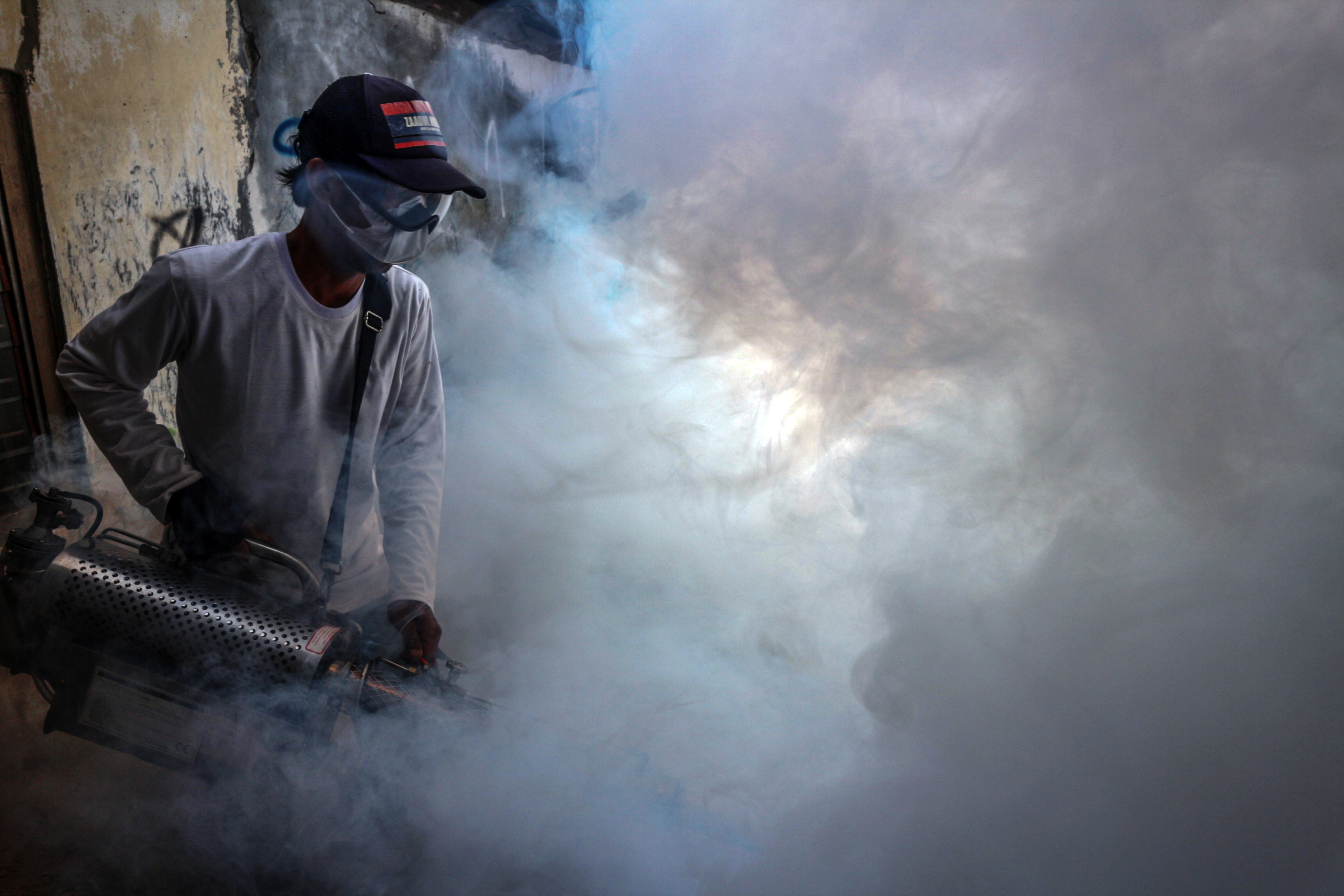 Pemberantasan Nyamuk Aedes Aegypti 