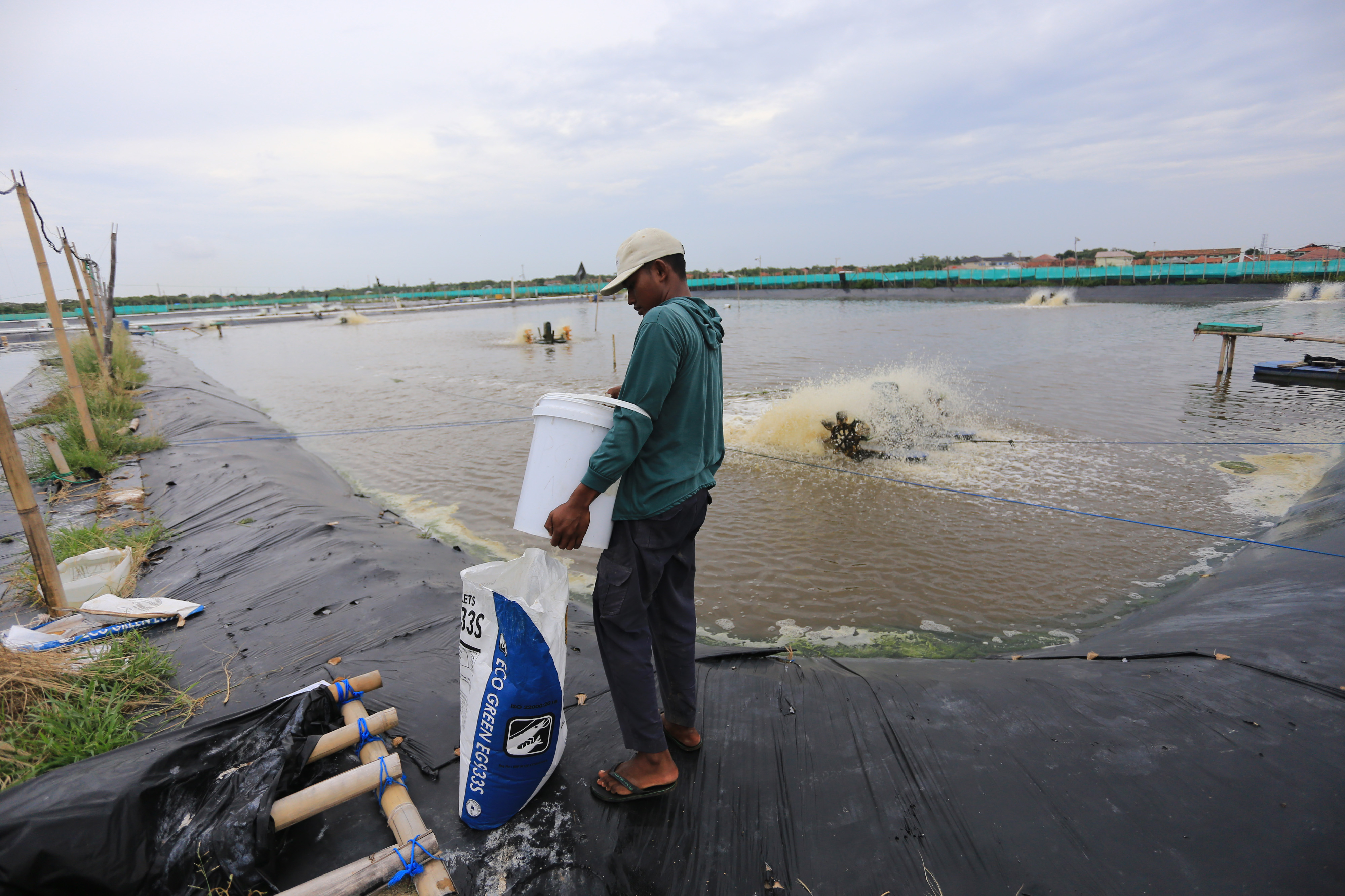 Target Produksi Perikanan Budidaya Tahun 2022