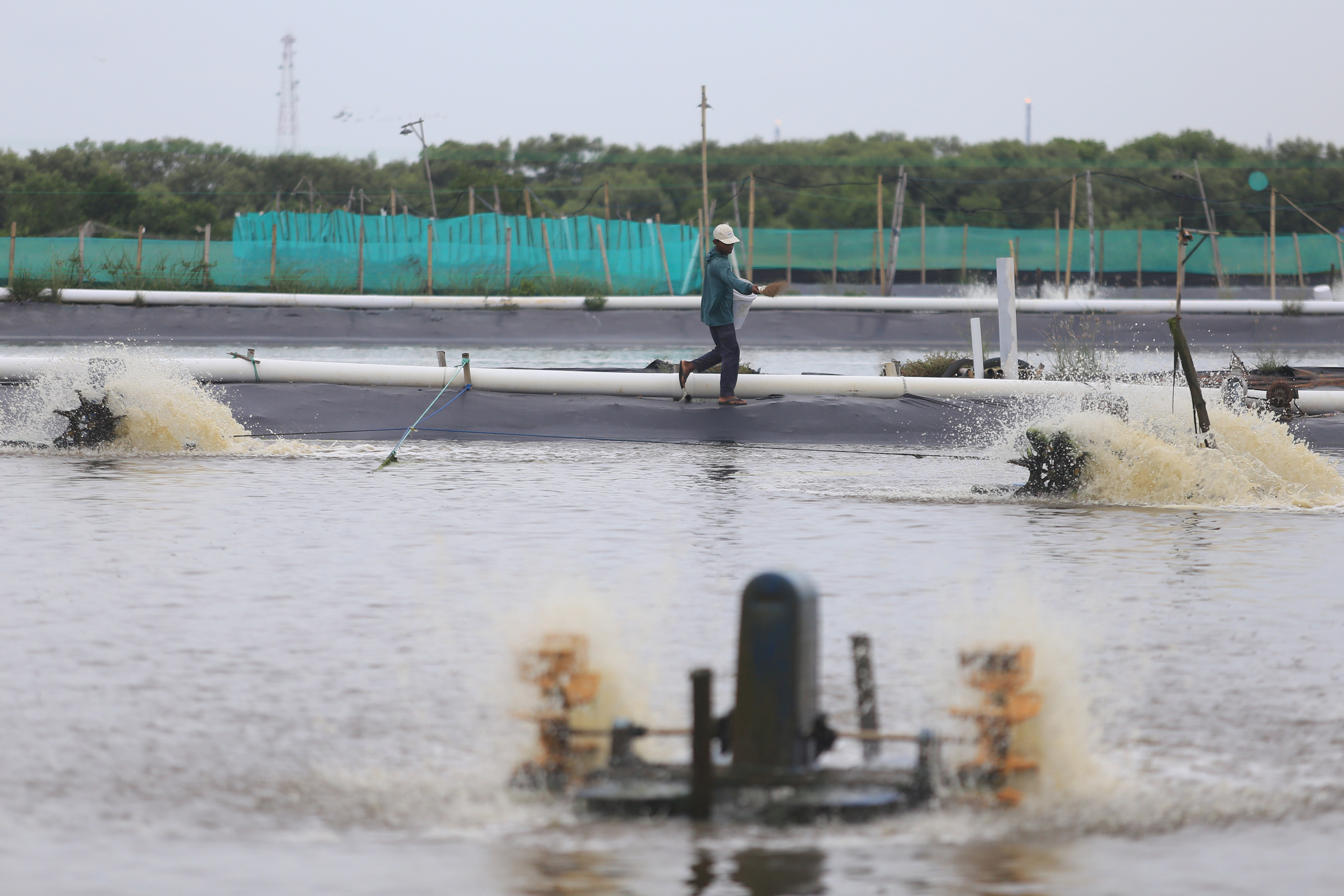Target Produksi Perikanan Budidaya Tahun 2022