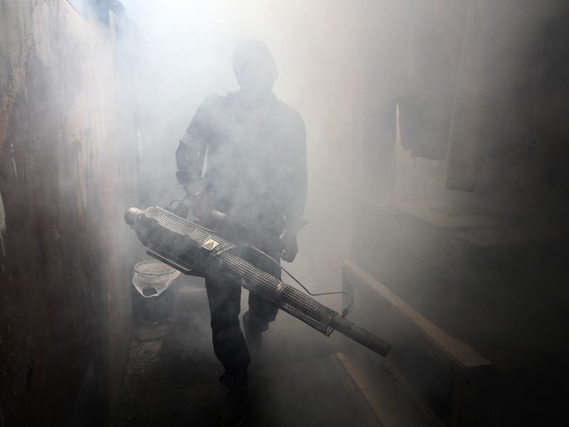 Pengasapan Cegah DBD Di Permukiman