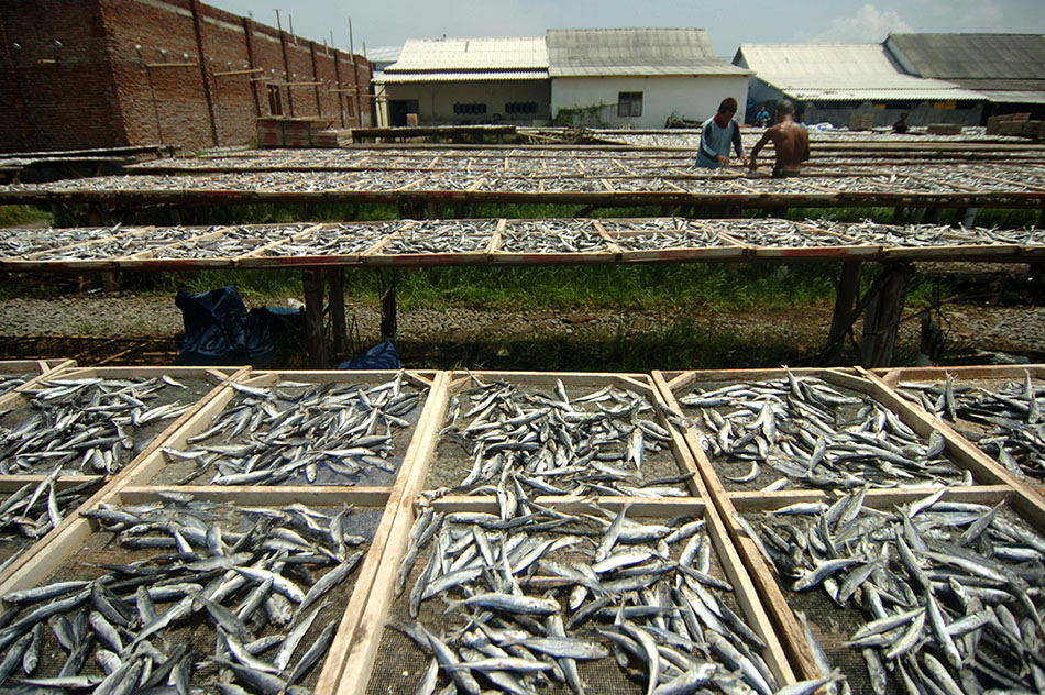 Harga Ikan Asin Naik