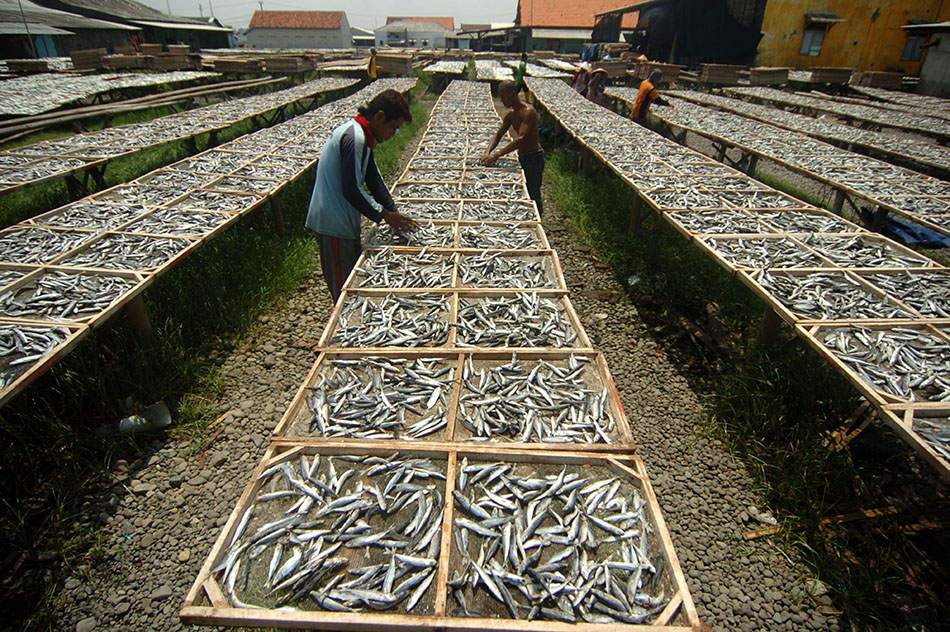 Harga Ikan Asin Naik