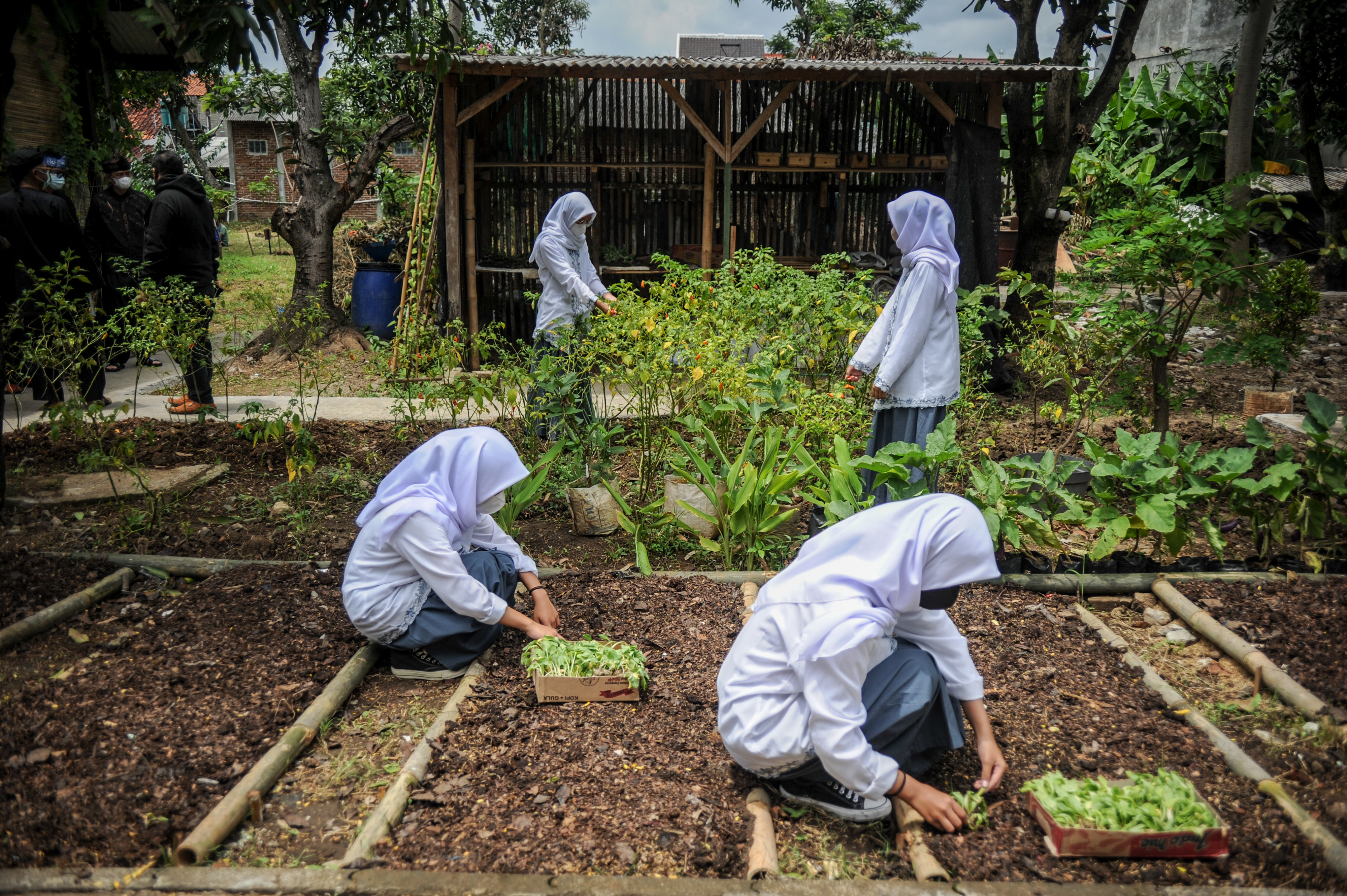 Pusat Edukasi Lingkungan Hidup di Bandung