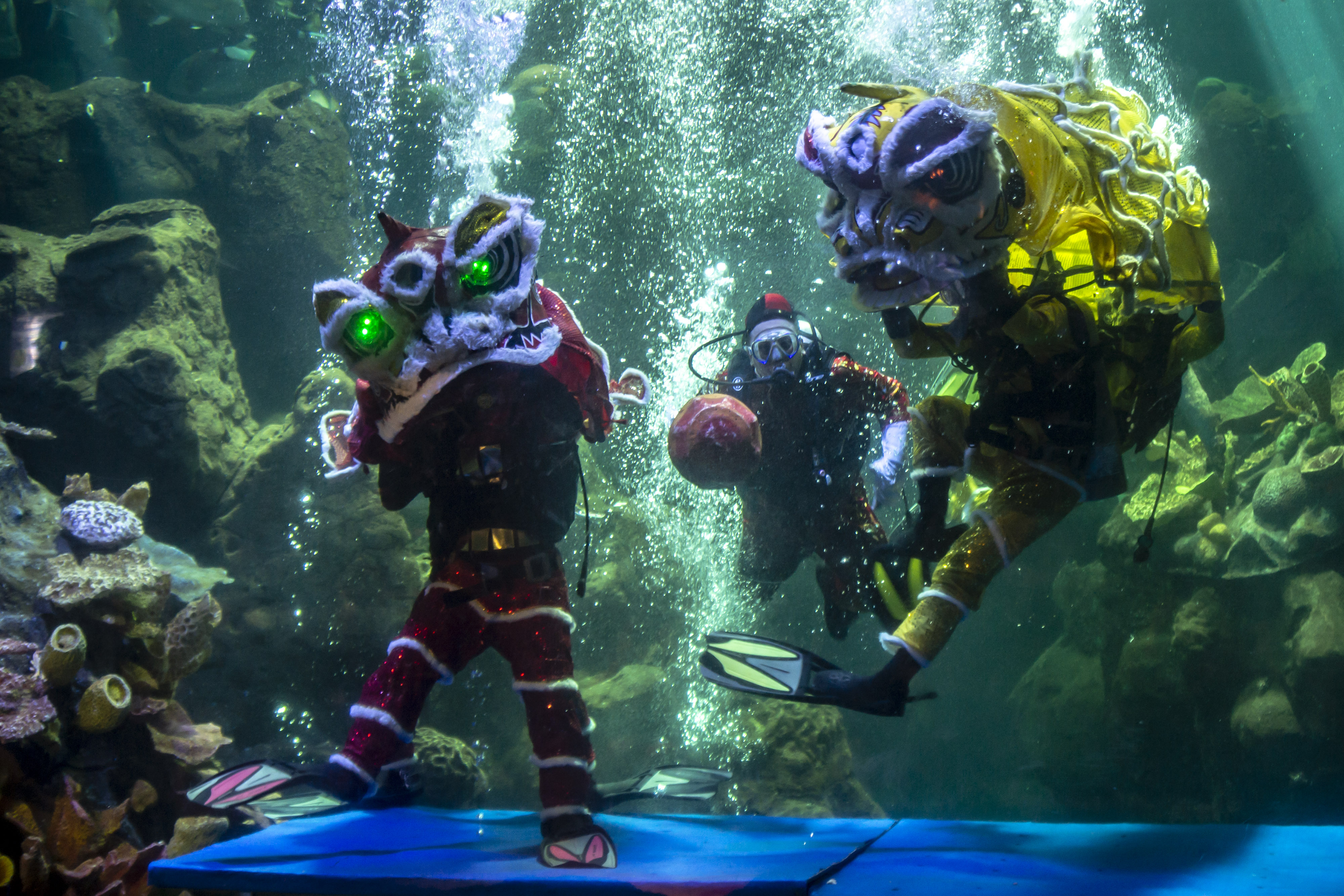 Atraksi Barongsai di Seaworld