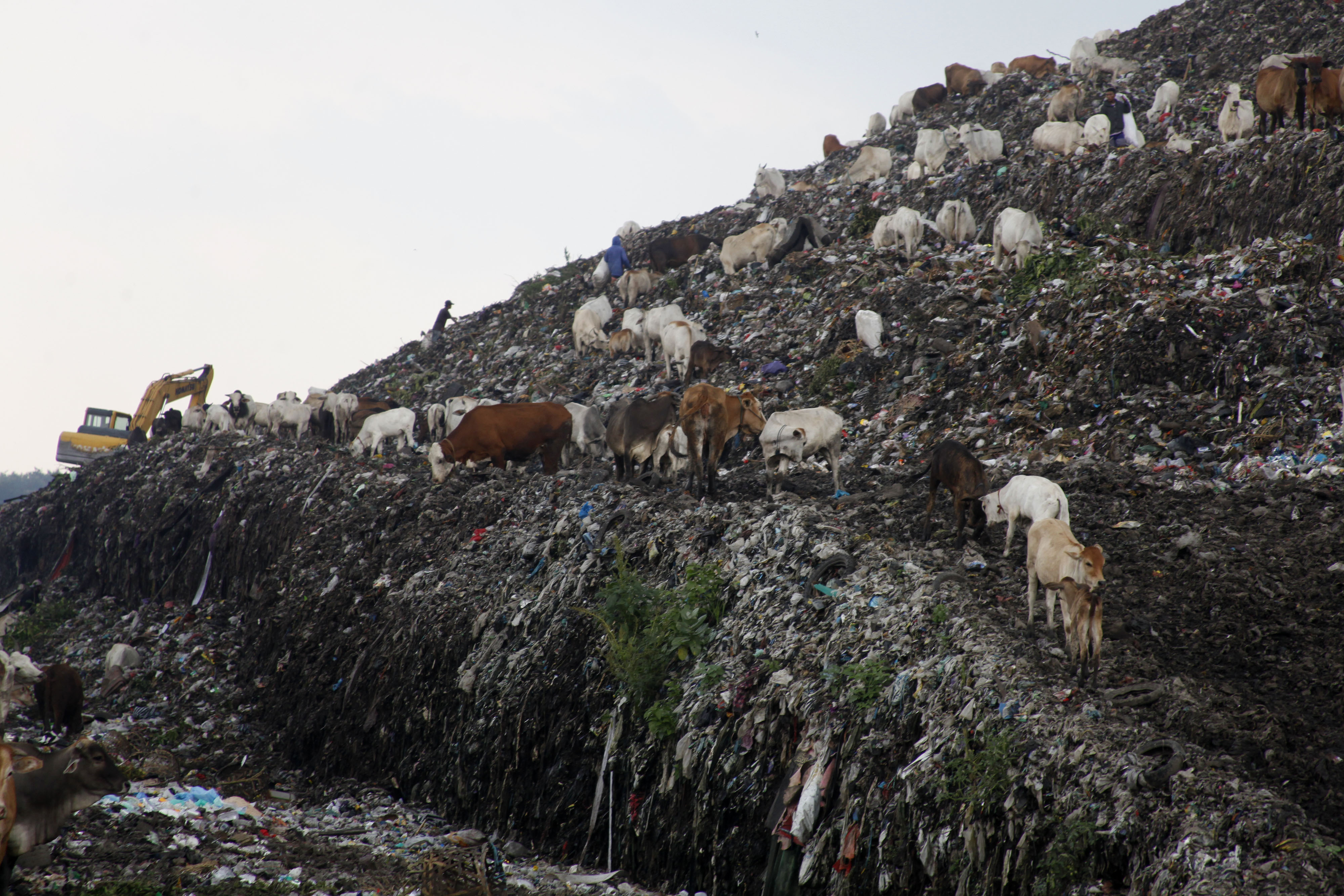 Target Nasional Pengolahan Sampah