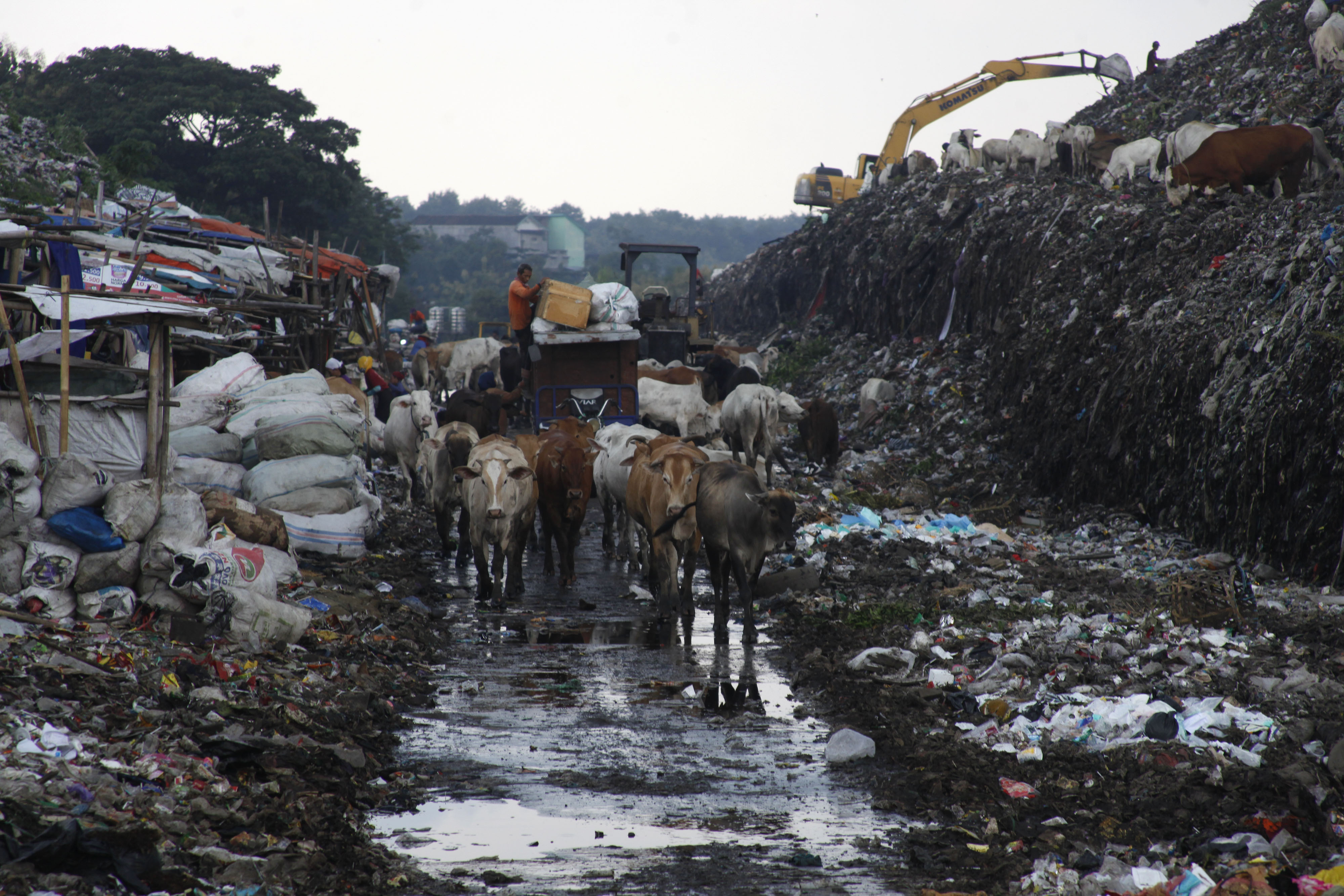 Target Nasional Pengolahan Sampah