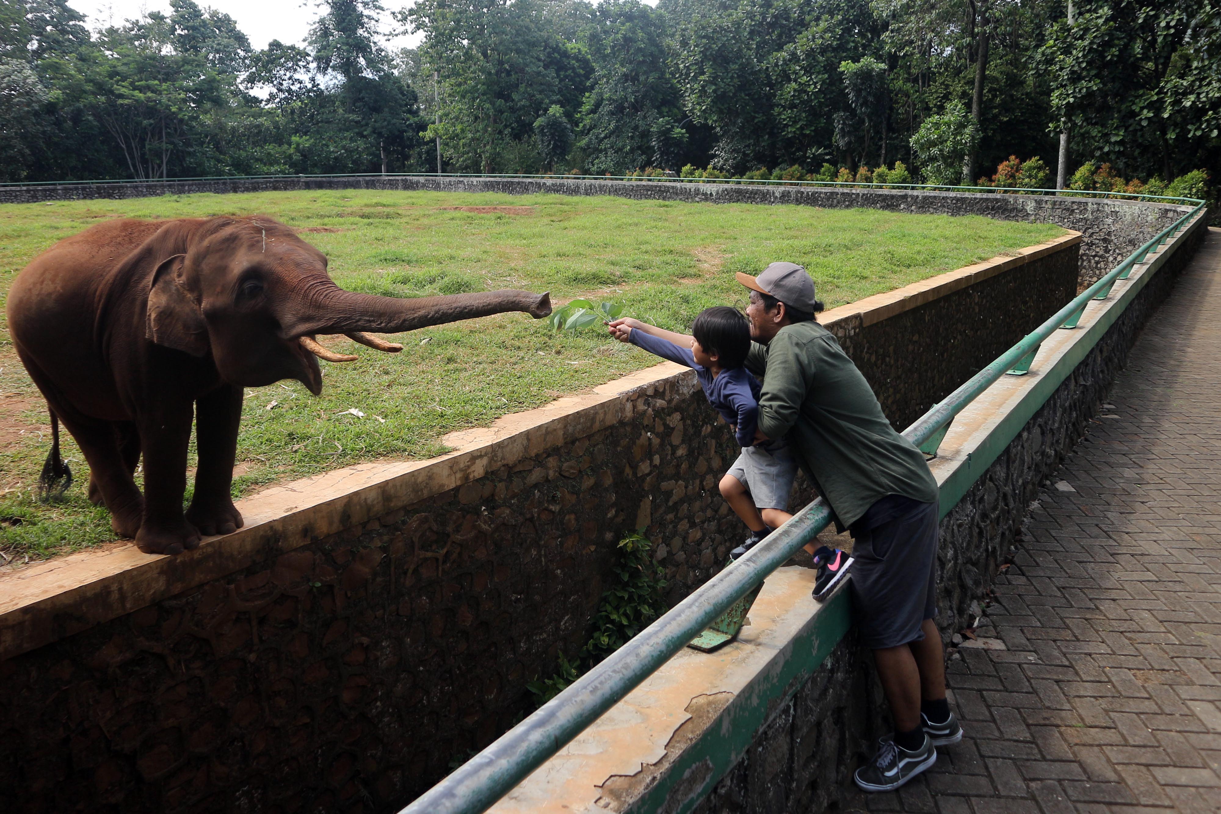 Pergerakan Wisatawan Nusantara