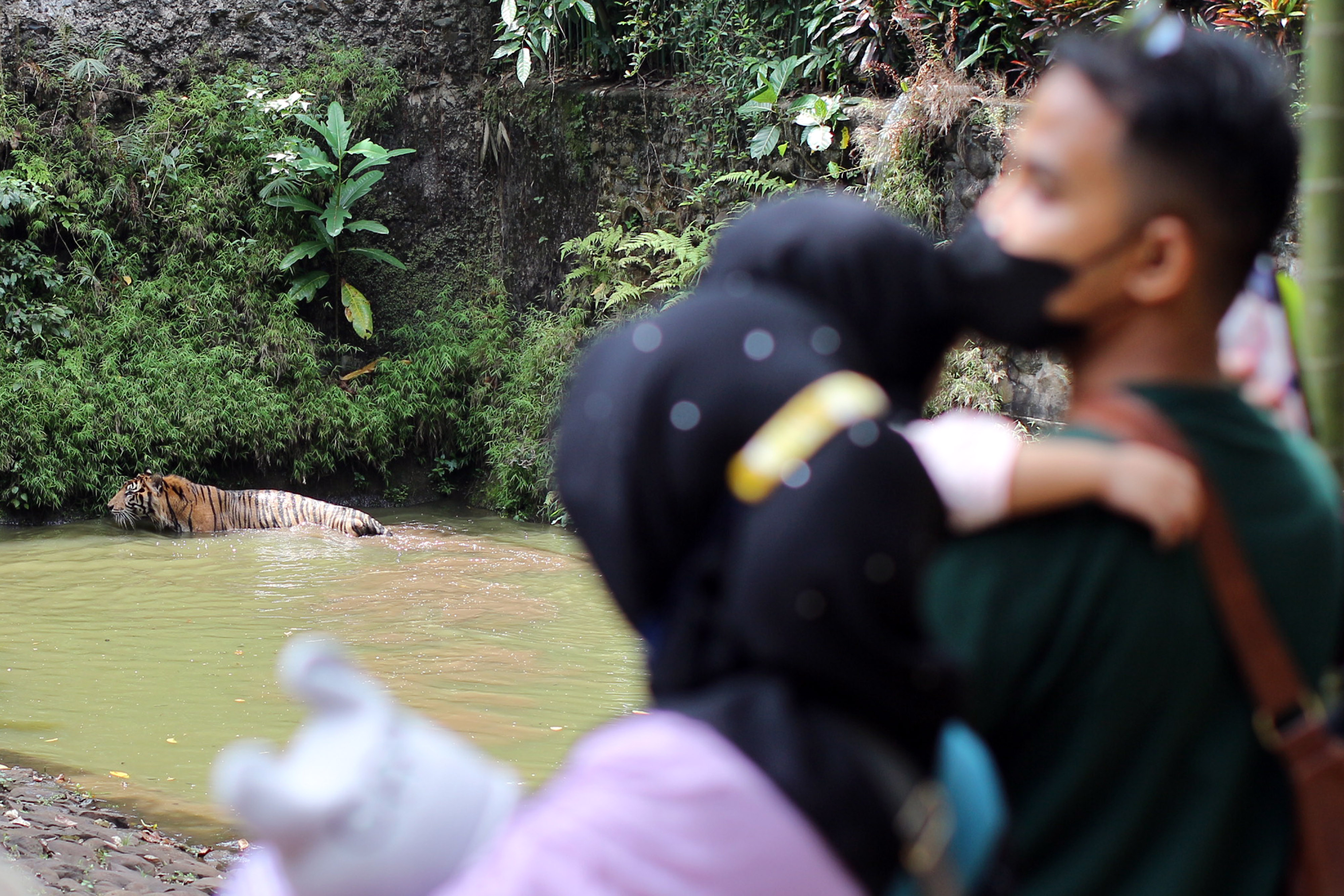 Pergerakan Wisatawan Nusantara