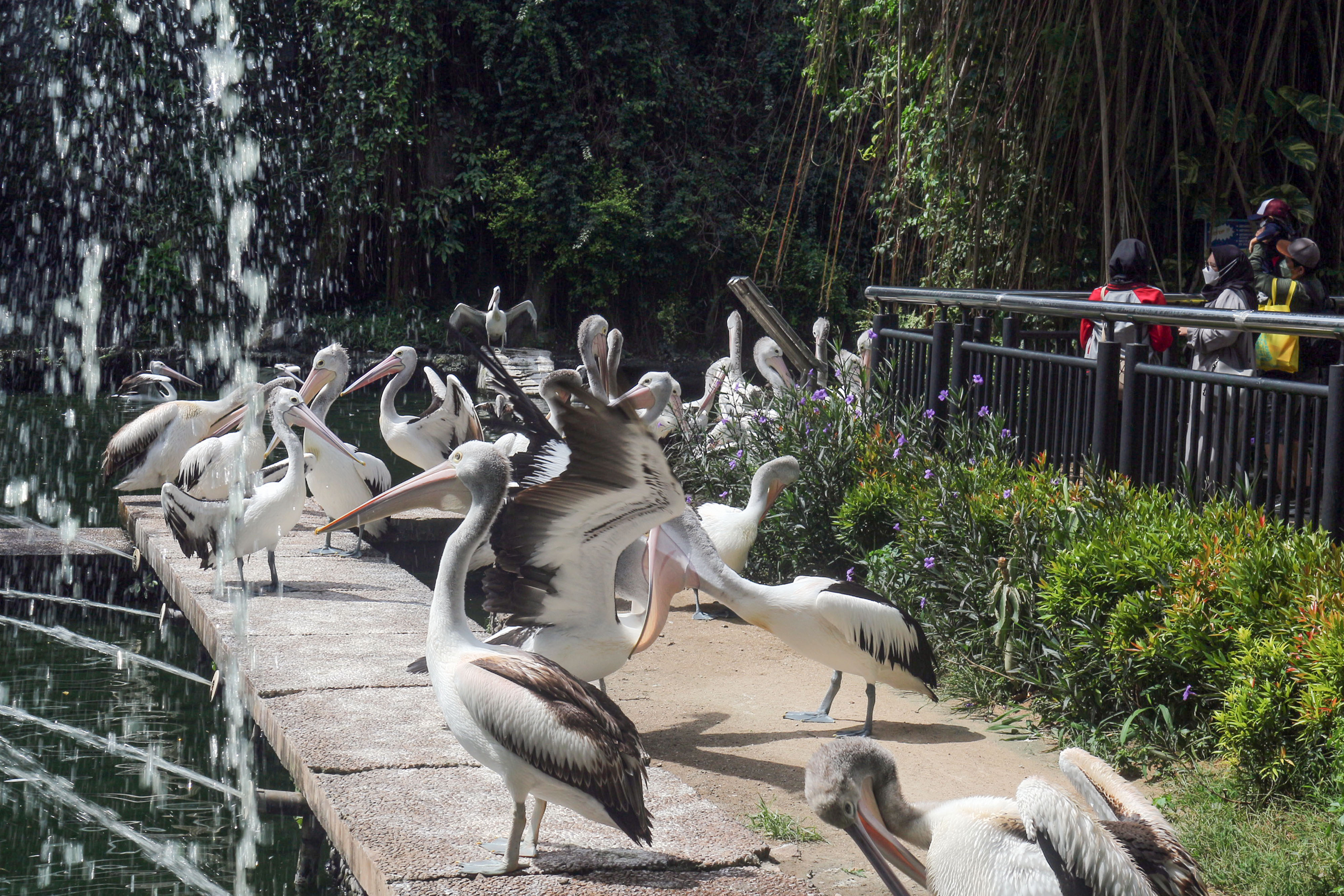 Pergerakan Wisatawan Nusantara