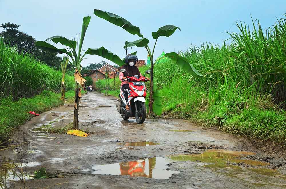 Jalan Rusak Ditanami Pohon Pisang